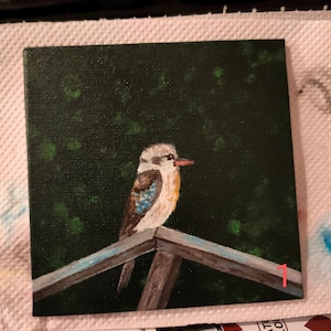 Kookaburra Paintings