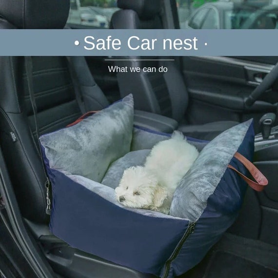 Is It Safe For Dogs To Ride In The Front Seat