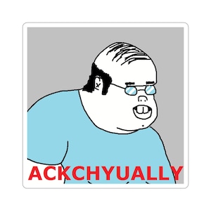 Funny Ackchyually Actually Know It All Sarcastic Meme Nerd Dork Geek Laptop Water Bottle Car Guitar Case Sticker
