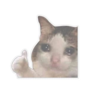 Gato chorando polegares para cima meme laptop garrafa de água macbook pro guitarra capa vinil decalque adesivo