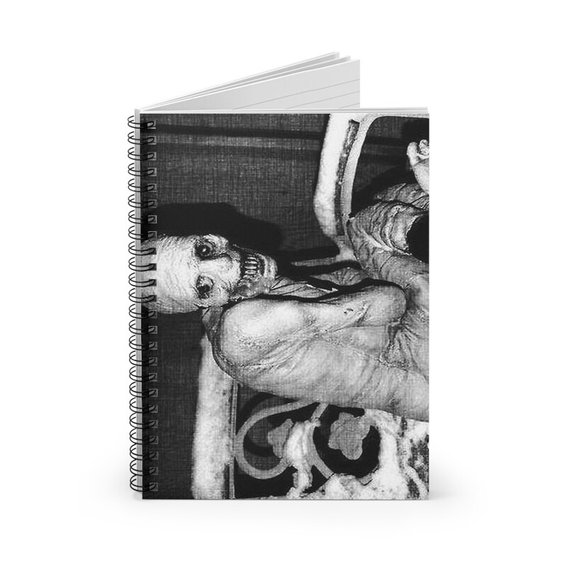 Russian Sleep Experiment Insomnia Insomniac Study Creepypasta Morbid Curiosity Diary Notebook, Study Notebook, Ruled Line image 2