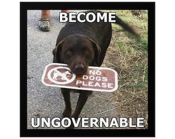 Funny Pet Doggo Become Ungovernable No Dogs Please Pet Funny Laptop Macbook Pro Guitar Case Sticker Decal
