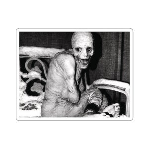 Russian Sleep Experiment Creepypasta Spooky Halloween Morbid Curiosity Laptop Waterbottle MacBook Car Guitar Case Vinyl Decal Sticker image 10