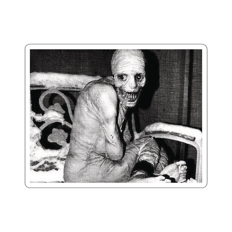 Russian Sleep Experiment Creepypasta Spooky Halloween Morbid Curiosity Laptop Waterbottle MacBook Car Guitar Case Vinyl Decal Sticker image 10