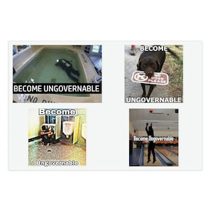 May include: A collage of four images with the text "Become Ungovernable". The images include a diver in a pool, a dog holding a "No Dogs Please" sign, a person in a bathroom, and a person bowling.