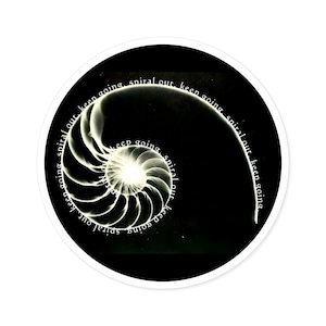 May include: A circular sticker with a black background and a white spiral nautilus shell design. The words "keep going, spiral out" are written in a circular pattern around the edge of the sticker.