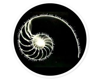 Espiral para fora, continue, sequência Fibonacci, proporção dourada, garrafa de água para laptop, Macbook Pro, capa de guitarra, decalque de vinil, adesivo para ambientes internos e externos