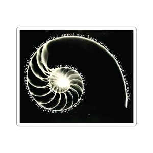 May include: A black and white image of a nautilus shell with the text "keep going. Spiral out, keep going, spiral out. Keep going. Spiral out, keep going." repeating around the shell.