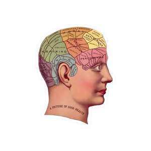 Vintage Aesthetic Mind Brain Anatomy Psychology Picture of Good Health Vinyl Decal Laptop Water Bottle Guitar Case Car Waterproof