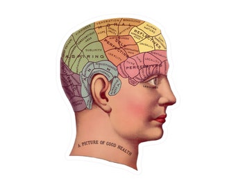 May include: A vintage illustration of a human head with different colored sections representing different aspects of the brain. The sections are labeled with words like "Veneration", "Benevolence", "Human Nature", "Reflective", "Causality", "Time", "Locality", "Perceptive", "Language", and "Domesticity". The text at the bottom of the image reads "A Picture of Good Health".
