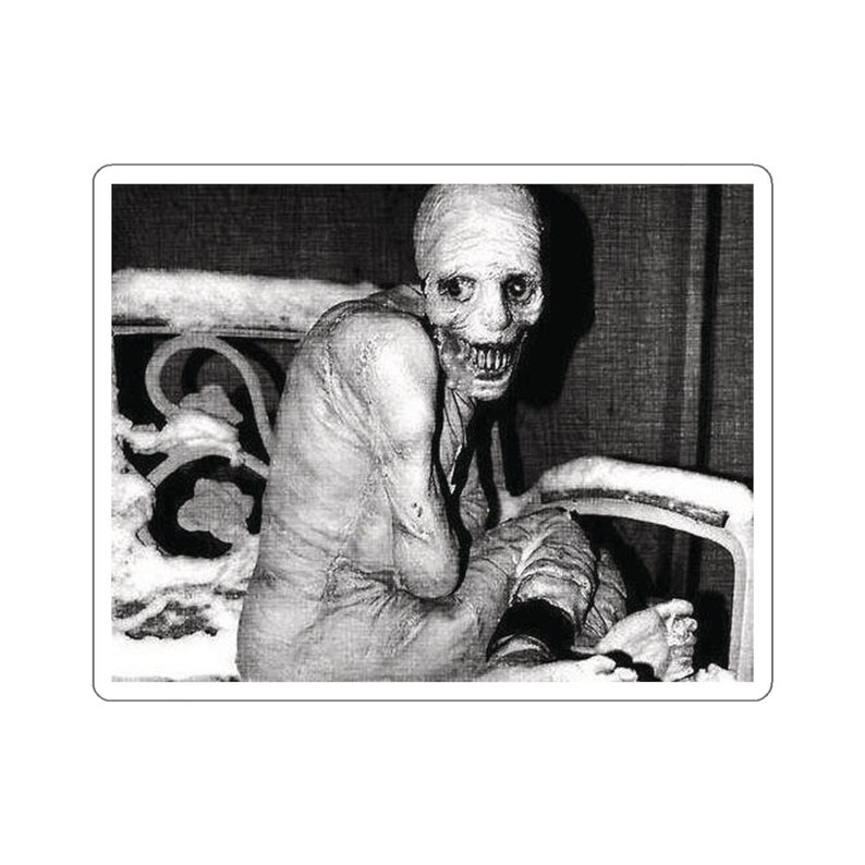 Russian Sleep Experiment Creepypasta Spooky Halloween Morbid Curiosity Laptop Waterbottle MacBook Car Guitar Case Vinyl Decal Sticker image 7