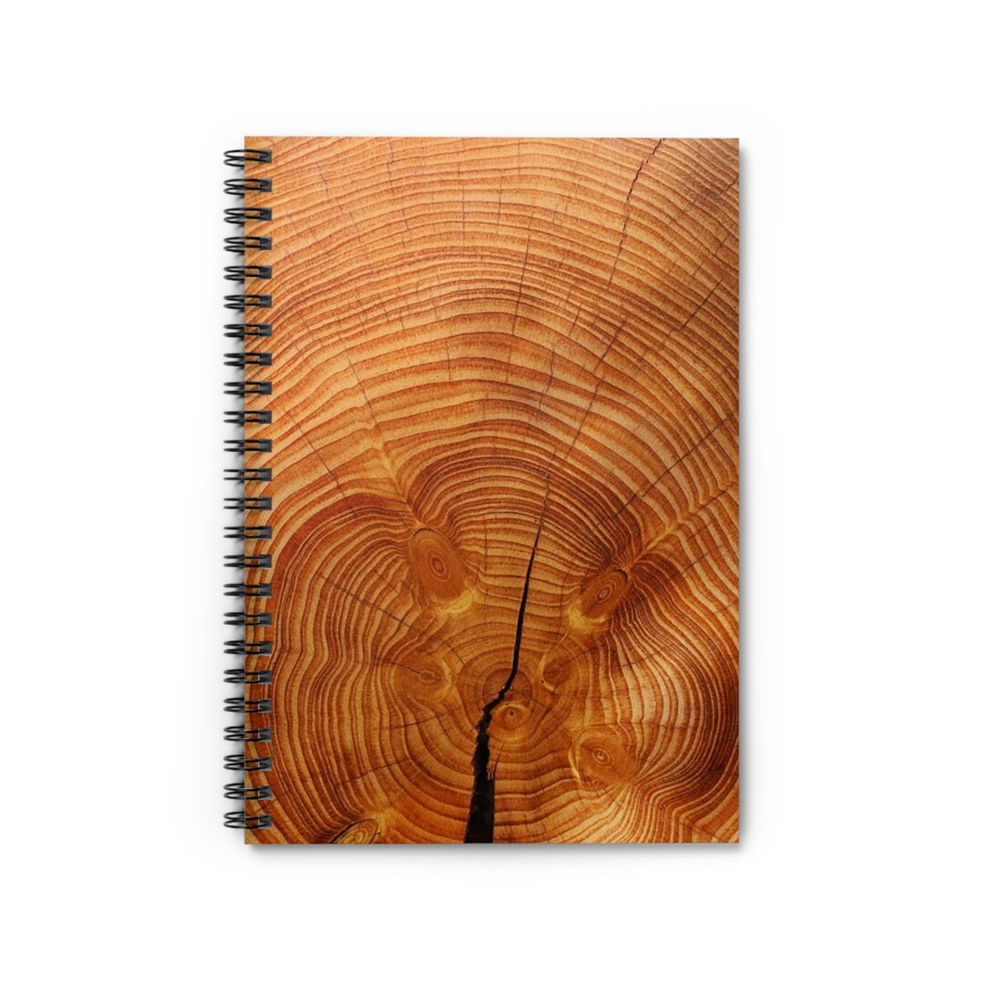 Rustic Nature Woodgrain Tree Ring Stump Spiral Ruled Line Study ...