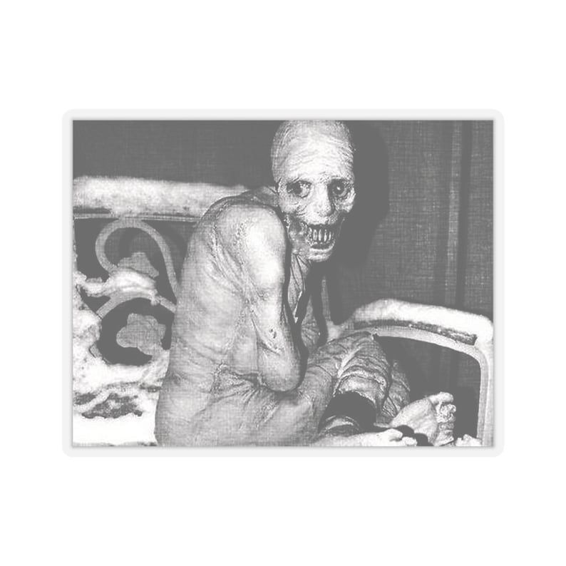 Russian Sleep Experiment Creepypasta Spooky Halloween Morbid Curiosity Laptop Waterbottle MacBook Car Guitar Case Vinyl Decal Sticker image 6