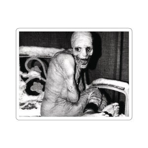Russian Sleep Experiment Creepypasta Spooky Halloween Morbid Curiosity Laptop Waterbottle MacBook Car Guitar Case Vinyl Decal Sticker image 5