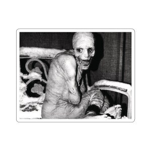 Russian Sleep Experiment Creepypasta Spooky Halloween Morbid Curiosity Laptop Waterbottle MacBook Car Guitar Case Vinyl Decal Sticker image 8