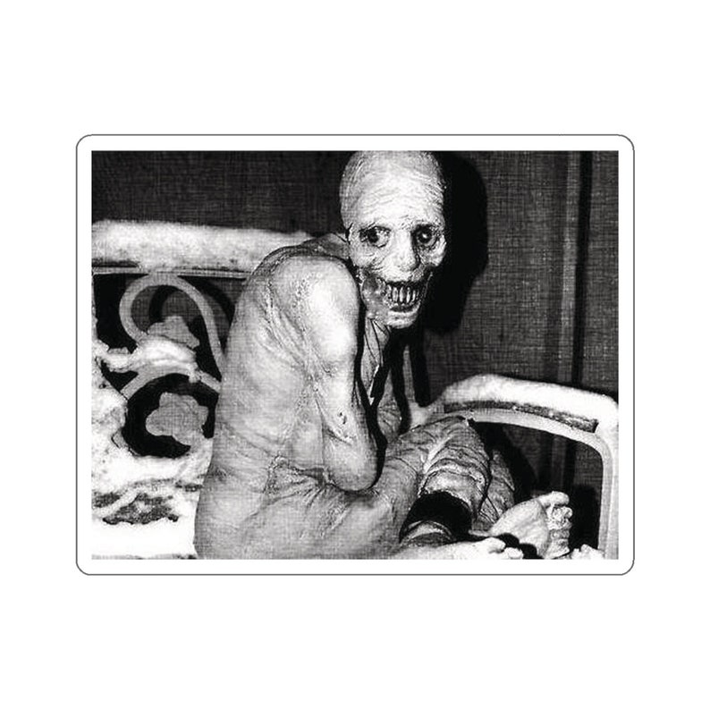 Russian Sleep Experiment Creepypasta Spooky Halloween Morbid Curiosity Laptop Waterbottle MacBook Car Guitar Case Vinyl Decal Sticker image 8