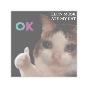 May include: A white cat with brown and black markings gives a thumbs up with a sad expression. The text "OK" is in pink and blue glitter above the cat. The text "ELON MUSK ATE MY CAT" is in white text at the top of the image.