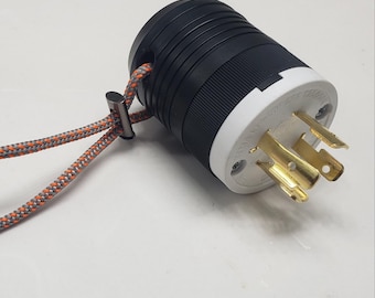 Chain hoist pocket pickle, motor controller with L14-20 style connector.
