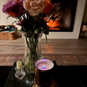 NONTOXIC and PETSAFE CANDLES | 100% soy | dog safe | pet safe candle| long lasting | femme | sweet | hand poured | small batch | sustainable