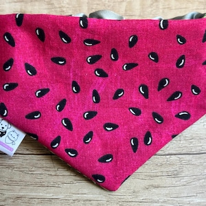 WATERMELON SUGAR | Silky Scrunchie Neck Pet Bandana- girly, trendy, cute, fruit, green, summer, kitten, cat, new dog, puppy, gift, spring