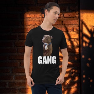 Funny “gang” dog shirt, funny shirt for dog lovers, gift ideas, dog sitting gay, funny dog, dog shirt, casual wear, fall outfits, fun shirt