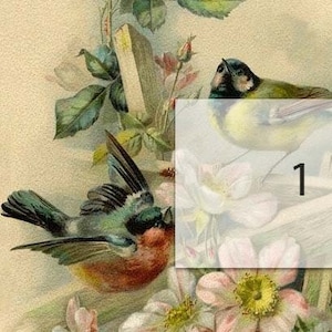 May include: A vintage illustration of two birds amongst white and pink flowers. The birds have green, blue, and red feathers. The background is a cream colour, with a wooden fence post.