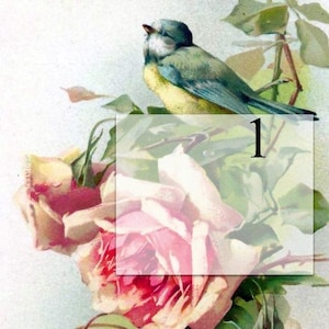 May include: A vintage illustration of a bluebird perched on a branch with pink roses. The bird has a yellow breast and blue wings. The roses are in bloom and have green leaves. The image has the number "1" in the corner.