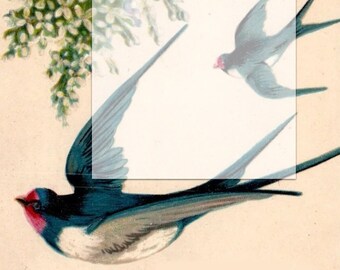May include: A vintage illustration of two blue birds flying with white and green flowers in the background. The number "4" is printed in the top right corner of the image.