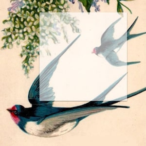 May include: A vintage illustration of two blue birds flying with white and green flowers in the background. The number "4" is printed in the top right corner of the image.