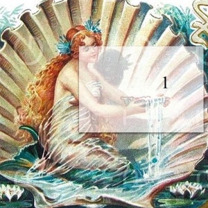 Op de afbeelding: Een vintage illustratie van een vrouw met lang rood haar die in een grote schelp zit. Ze houdt een kan water vast en giet het in de schelp. De achtergrond is lichtblauw en groen.