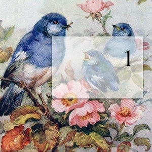 May include: A vintage illustration of three bluebirds perched on a branch with pink flowers. The birds are painted in a realistic style with delicate details. The background is a soft blue and white.