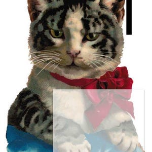 May include: A black and white tabby cat wearing a red bow sits on a blue cushion. The cat has a serious expression and is looking directly at the viewer.