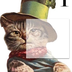 May include: A gray and white cat wearing a brown top hat with a green band and a green shamrock. The cat is wearing a red and white bandana around its neck. The cat is looking to the left.