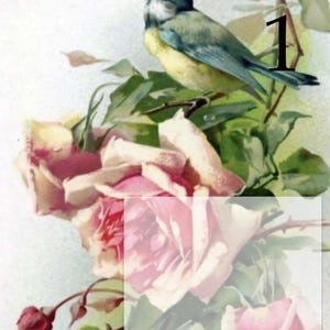 May include: A vintage illustration of a bluebird perched on a branch with pink roses. The bird is facing left and has a yellow breast. The roses are in full bloom and have a white centre.