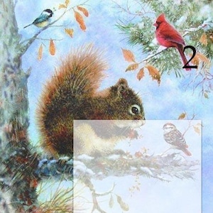 Könnte beinhalten: Detaillierte Illustration eines Eichhörnchens auf einem Ast, mit einem roten Kardinal und anderen Vögeln. Das Kunstwerk zeigt eine Winterszene mit Schnee und Herbstlaub, in einem naturalistischen Stil.