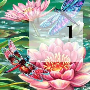 May include: An artistic illustration of a pond scene with pink water lilies and dragonflies. The dragonflies have iridescent wings in shades of blue, red, and purple. The number "1" is in the centre of the image.