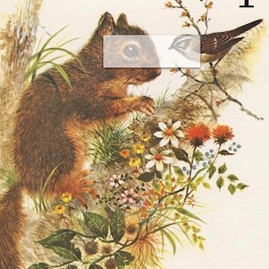 Fabric Panel Canvas Cotton Print Applique Antique Victorian Vintage Squirrel Bunny Sewing Quilting Patches Embellishments Crafting Supplies
