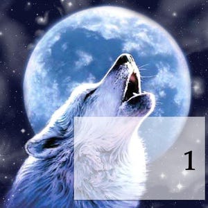 May include: A white wolf howls at the moon, which is a bright blue with white clouds. The wolf's fur is fluffy and white, with a blue tint. The background is a dark blue with white stars.