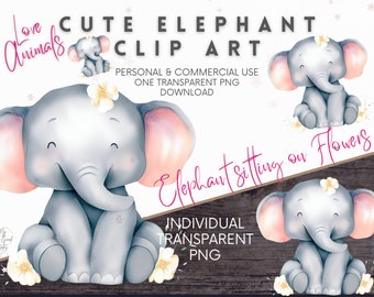 Elefant-Kinderzimmer-Clipart, Babyparty, Elefant-Kinderzimmer-Kunst, scherzt Baby-Elefant-Blumen, Safari-Aquarell digitale PNG Illustration