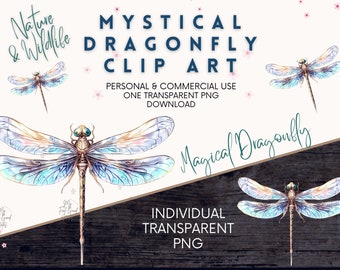 Watercolor Dragonfly Clipart, Png Graphics Dragonflies Art, Insect Illustration Nature Wildlife, Commercial License, Instant Download