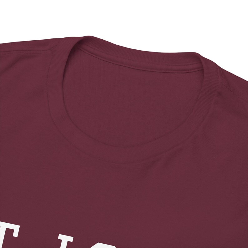 Classic St. Louis Catholic Tee | Gateway to Faith | Beatification Fulton Sheen Beatification 2026 image 6