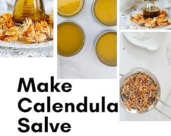 Calendula Salve Recipe Booklet | Botanical Skin Care PDF (Digital Download)