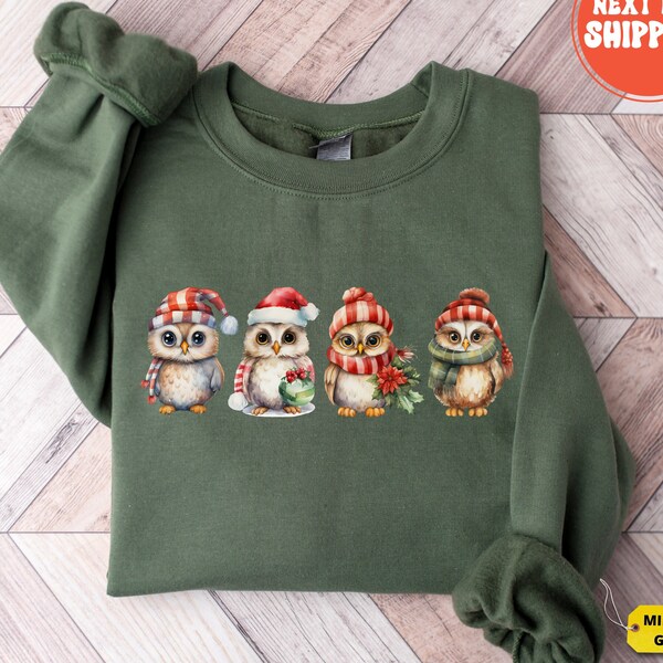 Owl Christmas Sweatshirt, Merry Christmas Owl Sweatshirt, Cute Owl Sweater, Funny Christmas Sweatshirt, Christmas Gift, Xmas Family Sweater
