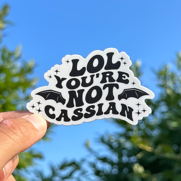 Lol You’re Not Cassian Sticker, ACOTAR Sticker, Sarah J Mass Sticker, A Court of Thorns and Roses Sticker, Bat Boys Sticker, Fantasy Romance