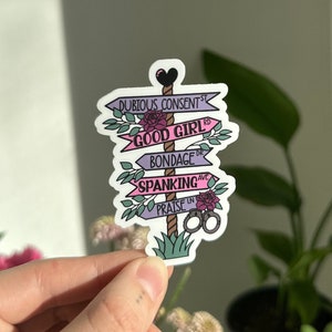 May include: A sticker with a signpost design featuring five signs with text that reads "Dubious Consent", "Good Girl", "Bondage", "Spanking", and "Praise" in pink, purple, and blue lettering. The signpost is decorated with flowers and a heart.