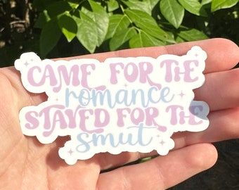 Veio para o romance, ficou para a obscenidade, adesivo para leitor de romance, adesivo para amantes de livros, adesivo fofo para livros, adesivo para Kindle