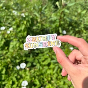 May include: A sticker with the text "Grumpy Sunshine" in rainbow colors with white daisies.