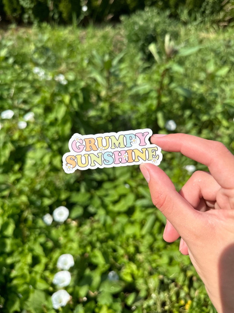 May include: A sticker with the text "Grumpy Sunshine" in rainbow colors with white daisies.