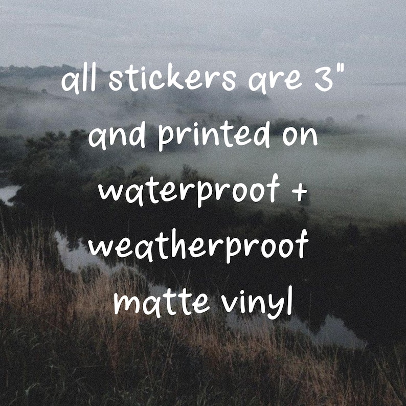 May include: Image with text: "all stickers are 3" and printed on waterproof + weatherproof matte vinyl." The background is a blurry landscape with a river and tall grass.