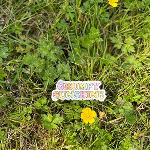 May include: A colorful sticker with the text "GRUMPY SUNSHINE" in a retro font. The sticker is placed on a bed of green grass with yellow flowers.